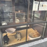 北灘漁協直送 とれたて食堂 - 