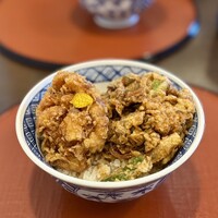 天ぷらふく西 禅と匠 - かき揚げ丼
