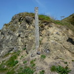 中華そば処 琴平荘 - 