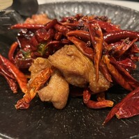 CINA New Modern Chinese - 