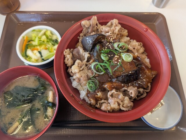 期間限定】タンドリーチキンカレー(並盛) + サラダセット