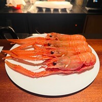 蒼 - 