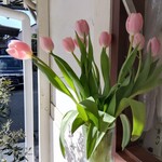 B-yond - 春はもうすぐ