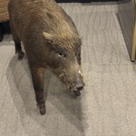 丹波篠山　近又 - 