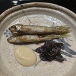 富小路 やま岸 - 