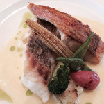 ブラン・ピエール - ２０１４年６月再訪。きんとき鯛ところ鯛のメイン。