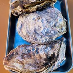 島田水産 - こちらは特選カラ付き