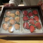 鮨shizuku 西天満 - 