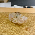 鮨shizuku 西天満 - 