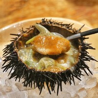 HAGI - 