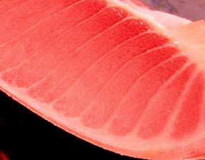 さしみ～や - 鶴岡（海鮮）の写真