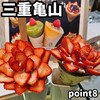 Point8 - 