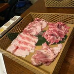 Asiantabele WAKA-DORI - 