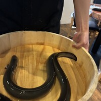 炭焼鰻 寝床 福島店 - 
