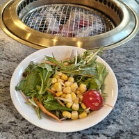 川崎名物 炭火焼肉 食道園 - 