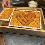 ニュー新みかん - 