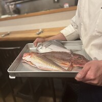 魚タリアン YO - 