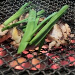 地鶏家 みやこんじょ - 