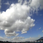 レイドバックバーガー - 北西の風に乗って花粉がやって来るかとハラハラしながら待つw