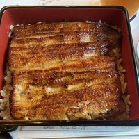 鰻割烹 伊豆栄 本店 -  鰻割烹 伊豆栄 本店 -