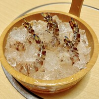 割烹 川田 - 