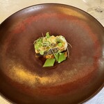 マダム・トキ - 