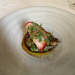 マダム・トキ - 