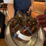 Burger & Lobster - カナダから持ってくるというロブスター