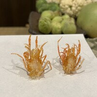 天白 - 