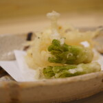 味ひろ - 雪解けのようにみずみずしく、春を感じる力強い香りで溢れるタラの芽。