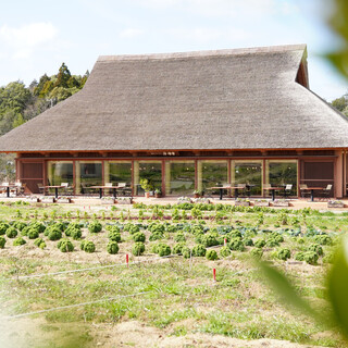 坂茂氏による、自然と融和したサステナブルな建築物