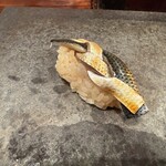 江戸心 山ぼうし - 