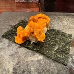 江戸心 山ぼうし - 