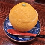 江戸心 山ぼうし - 