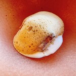 MAISON LAFITE - 甘鯛のムニエル