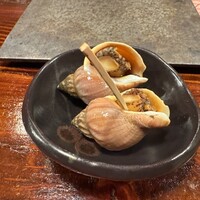 江戸心 山ぼうし - 