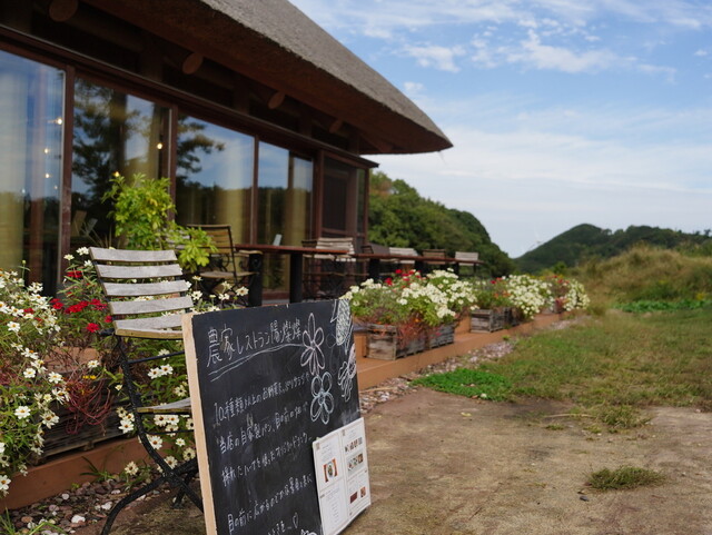 ○M506 ○（5客他）【はるさんさんです。】 ○M506 ○（5客他）【はるさんさん様専用です。】 座席 : 農家レストラン