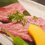 特撰三日月