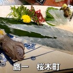 鷹一 - ヤリイカ刺身