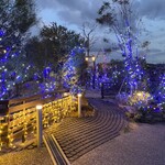 ステラディマーレ - 