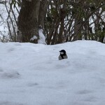 那須高原の宿 山水閣 - 