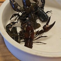 柚木元 - 