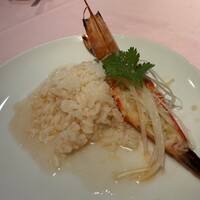 シェフス -  シェフス -