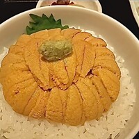 函館うに むらかみ 日本生命札幌ビル店 - うに丼（Sサイズ）