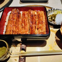 うなぎ 目白ぞろ芽 - 