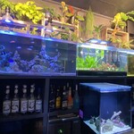 深海BAR THE DEEP - カウンター前はこんな感じ