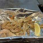 たぬき ラクーンドッグ - 