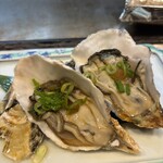 たぬき ラクーンドッグ - 