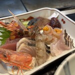 たぬき ラクーンドッグ - 