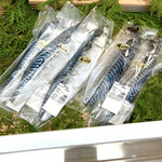 さかなや 一千 - 焼灰干さばは、かなりいい感じで一千さんが焼いてたけど、出来たら、ご自分で焼いてみてね！　byまみこまみこ